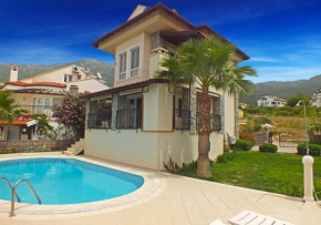 DAİSY GARDEN B